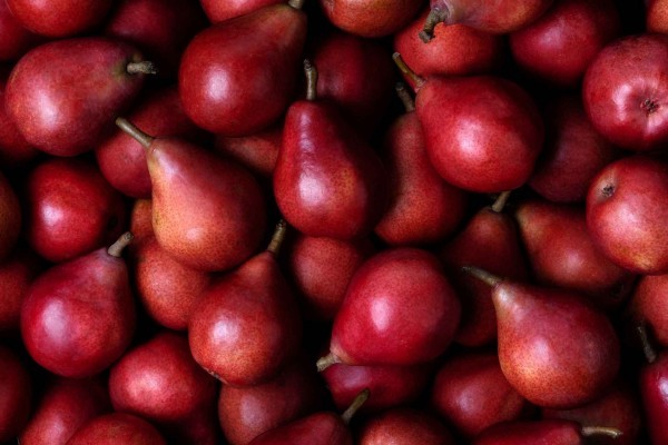 Capitol City Produce Bartlett Pears