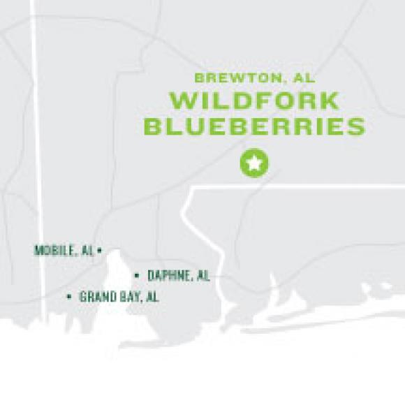 Wildfork Blueberries Map