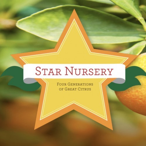 Star Nursery Logo