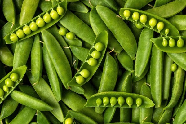 Capitol City Produce Sugar Snap Peas