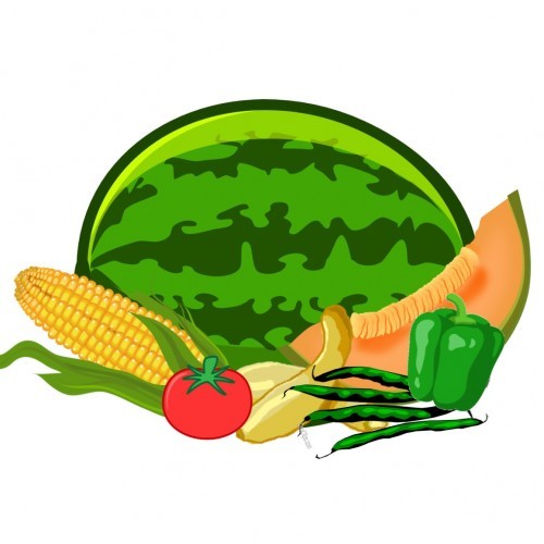 Croom Farms Logo