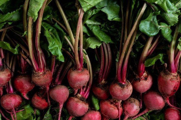 Capitol City Produce Baby Red Beets