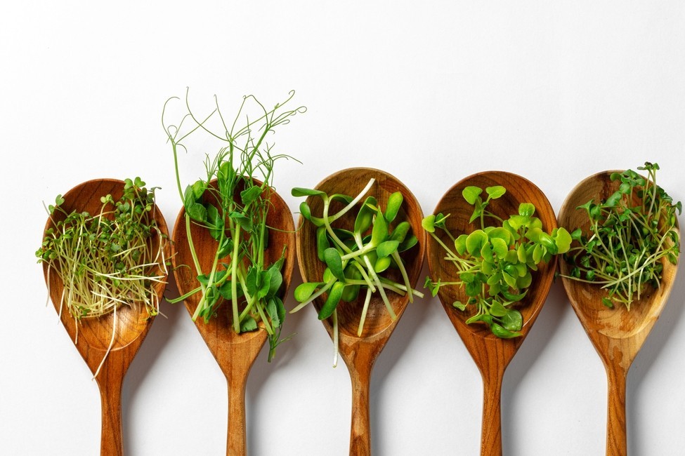 Micro Greens & Edible Flowers