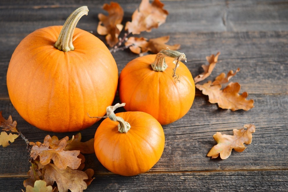 Pumpkins & Fall Décor