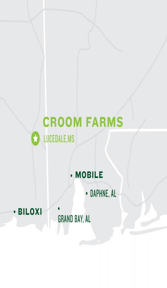 Croom Farms