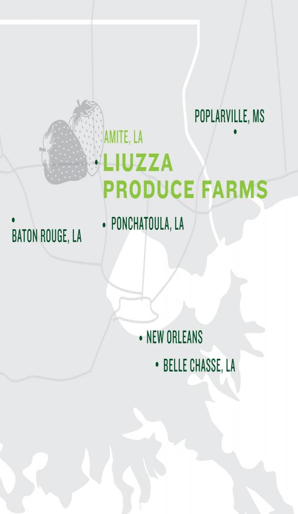 Liuzza Produce Farm