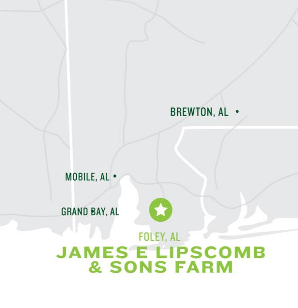 Lipscomb & Sons Farm