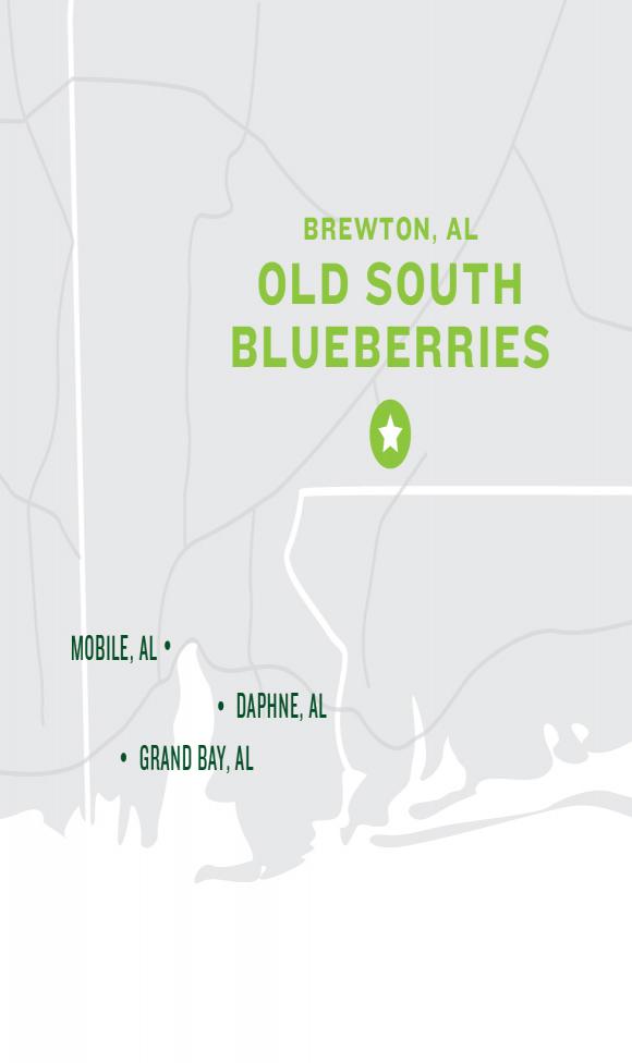 Old South Blueberries Map